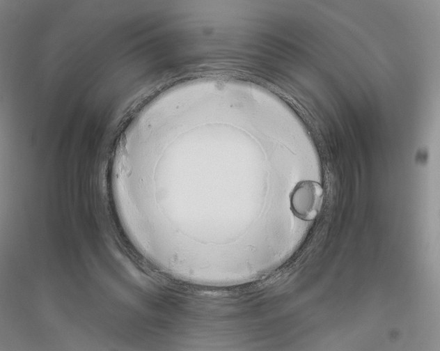 X0000116860302201002021112