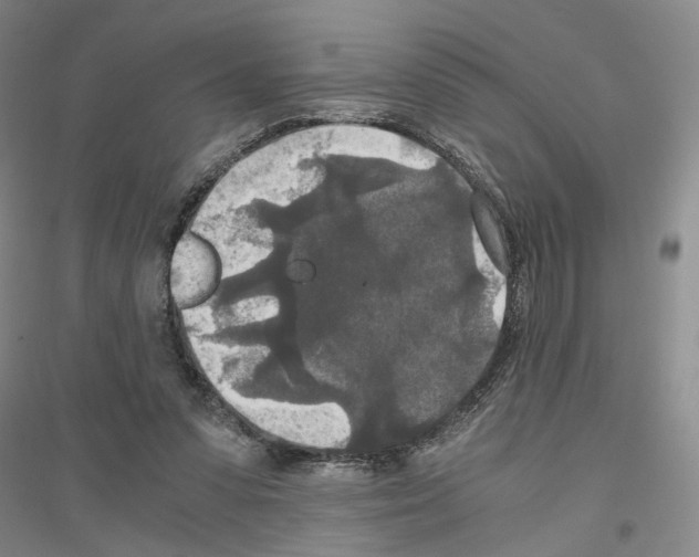 X0000116860303201002021112