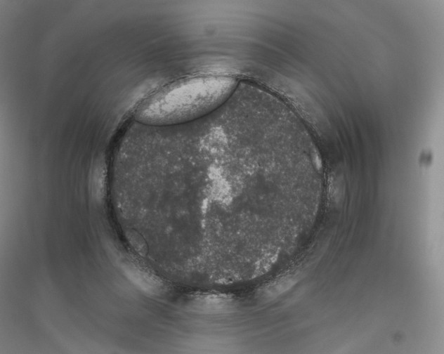 X0000116860304201002021112