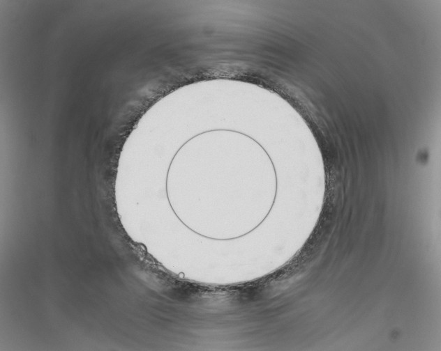 X0000116860307201002021112