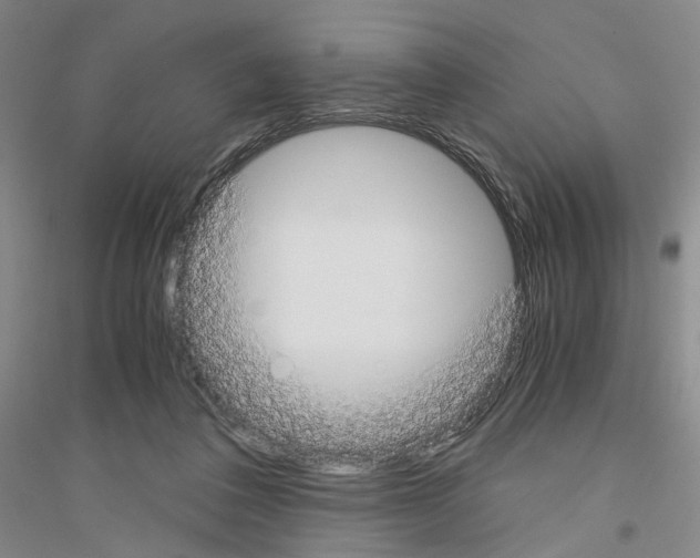 X0000116860308201002021112