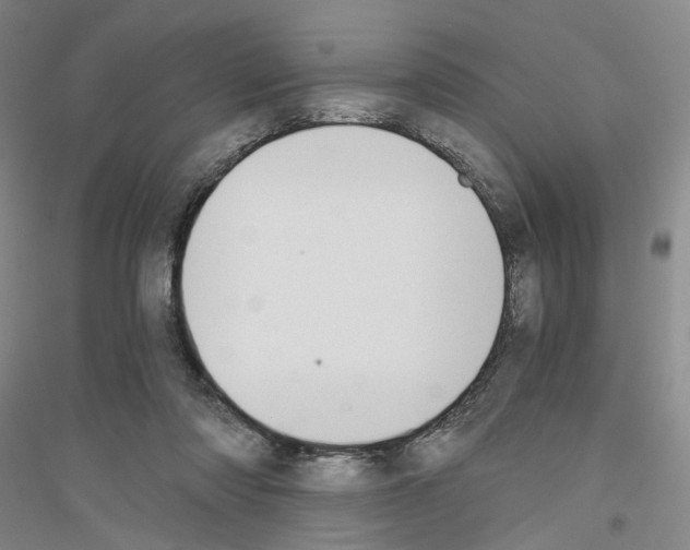 X0000116860310201002021112