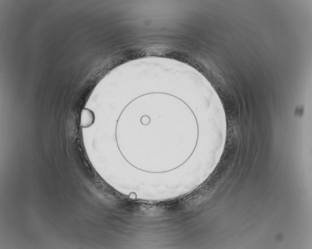 X0000116860311201002021112