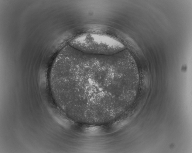 X0000116860312201002021112