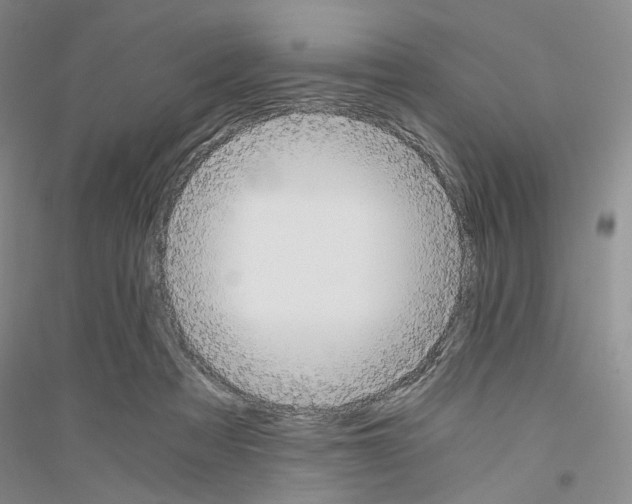 X0000116860313201002021112