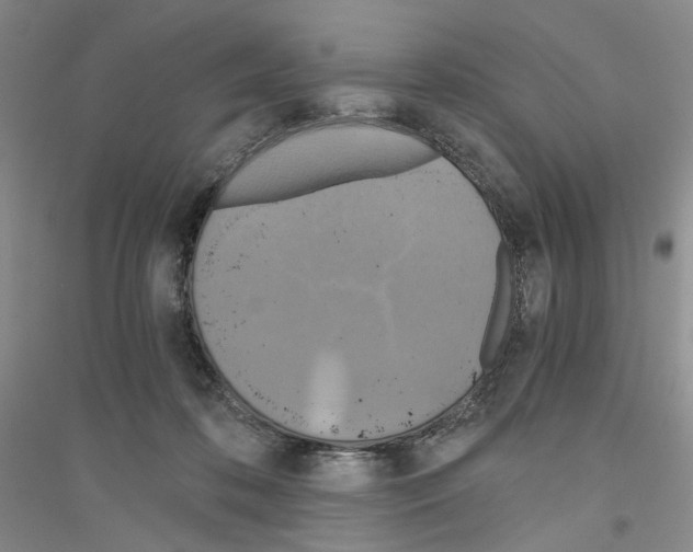 X0000116860316201002021112