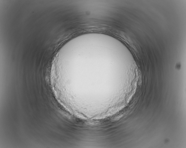 X0000116860317201002021112