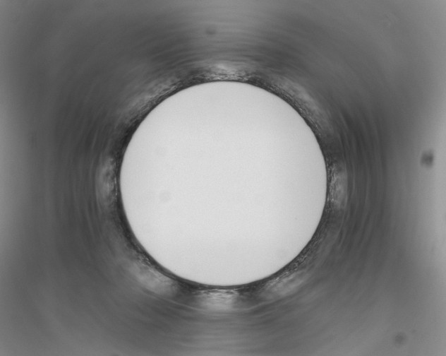 X0000116860318201002021112