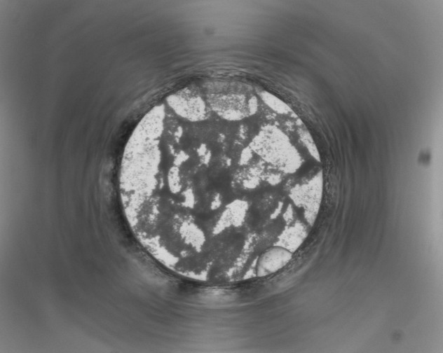 X0000116860319201002021112