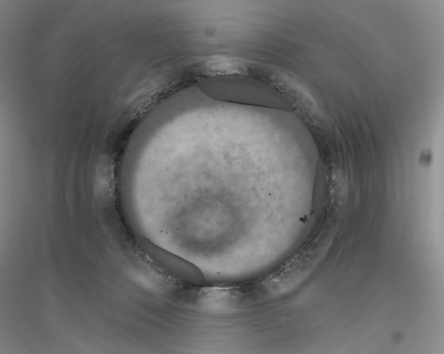 X0000116860320201002021112