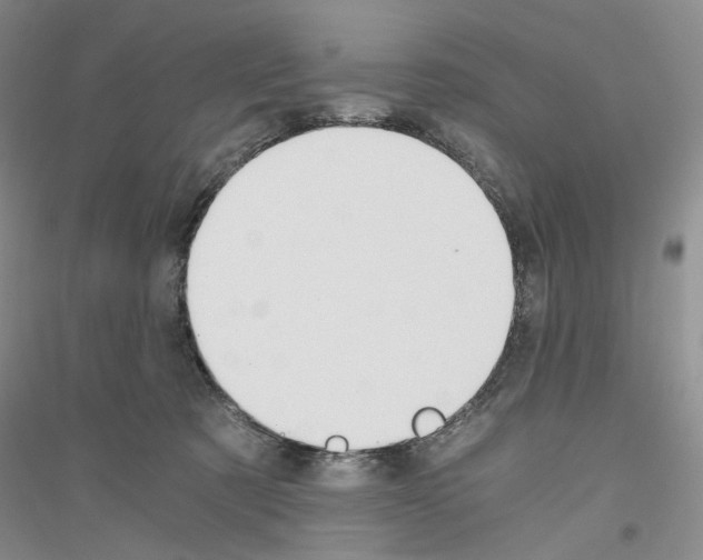 X0000116860321201002021111