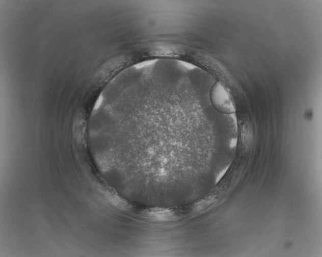 X0000116860322201002021111