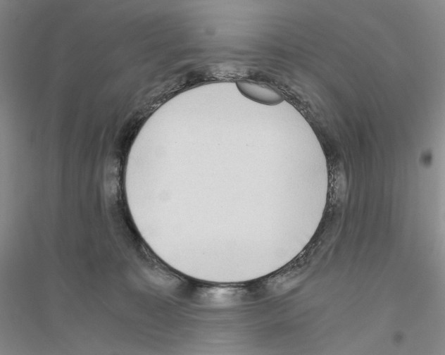 X0000116860323201002021111