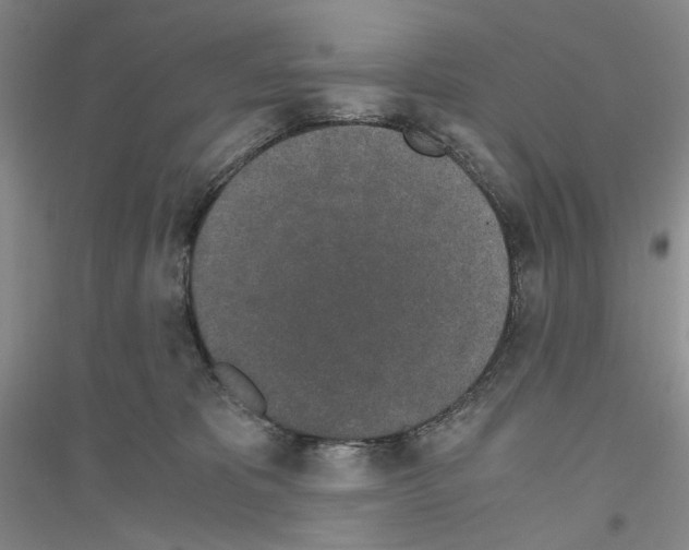 X0000116860325201002021111