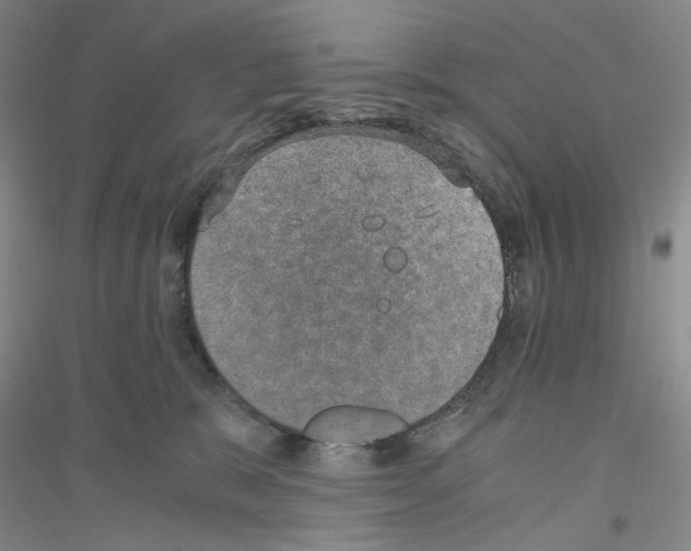 X0000116860327201002021111