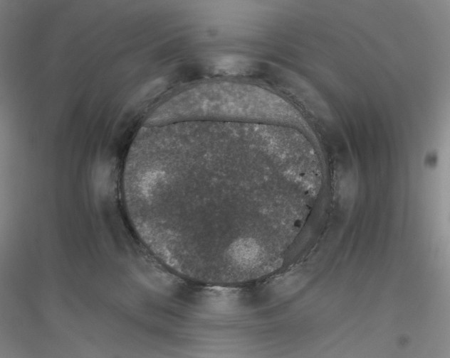 X0000116860328201002021111