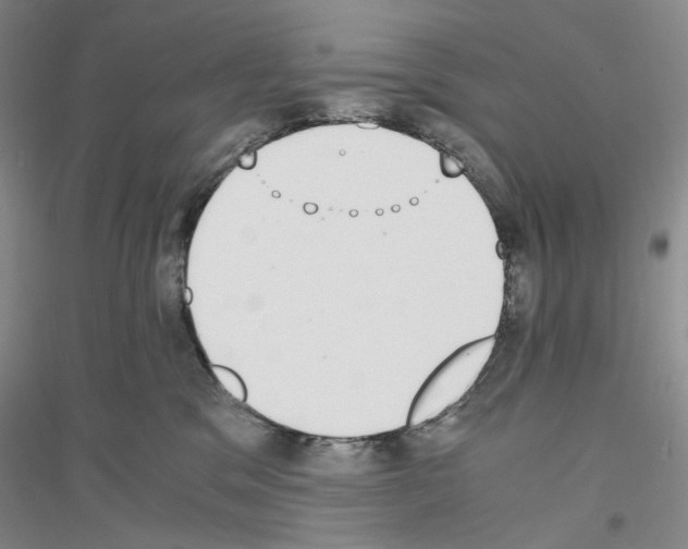 X0000116860329201002021111