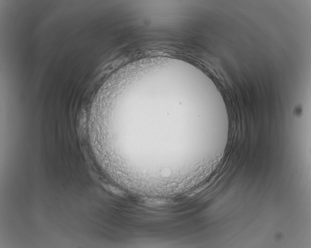 X0000116860332201002021111