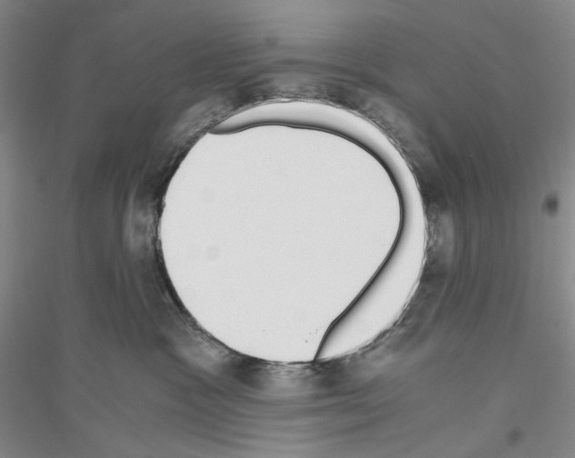 X0000116860333201002021111