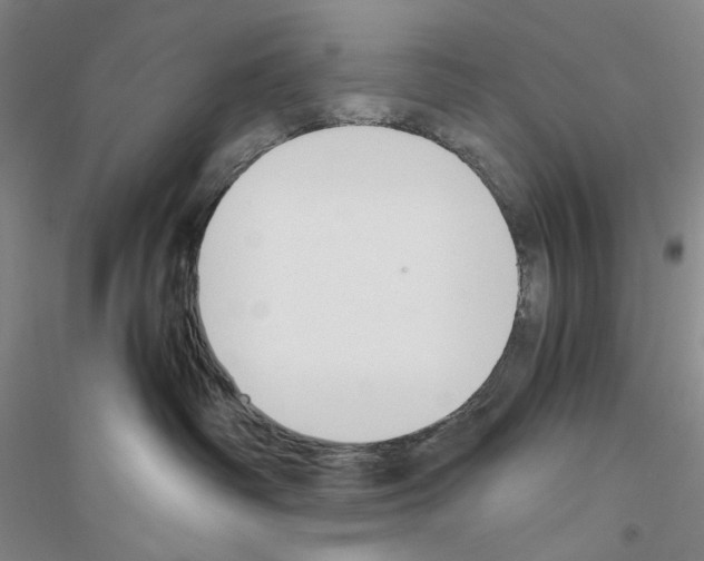 X0000116860334201002021111