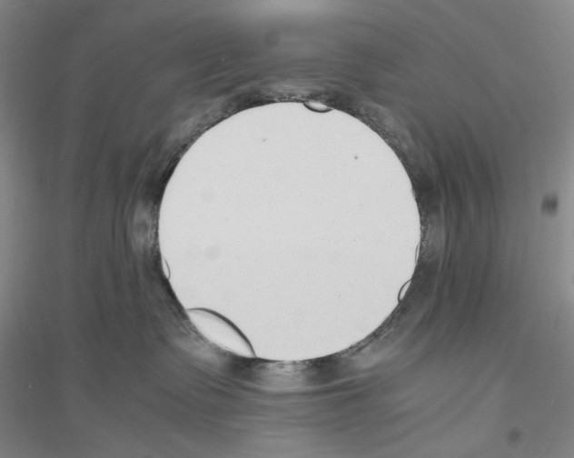 X0000116860335201002021111