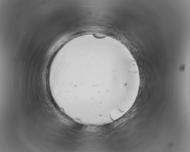 X0000116860341201002021111