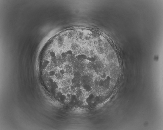 X0000116860343201002021111