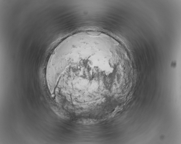 X0000116860345201002021111