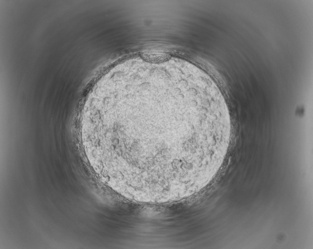 X0000116860346201002021111