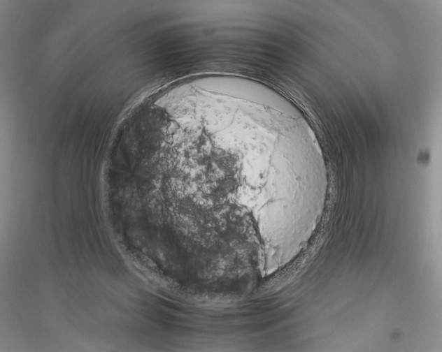 X0000116860349201002021111