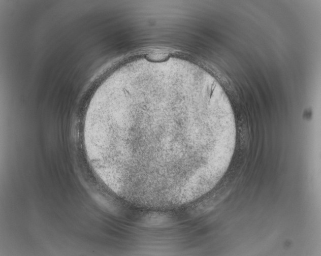 X0000116860350201002021111