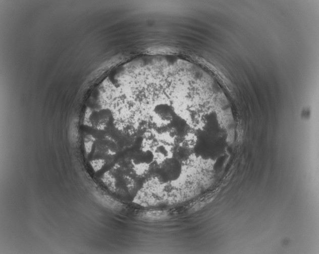 X0000116860353201002021111