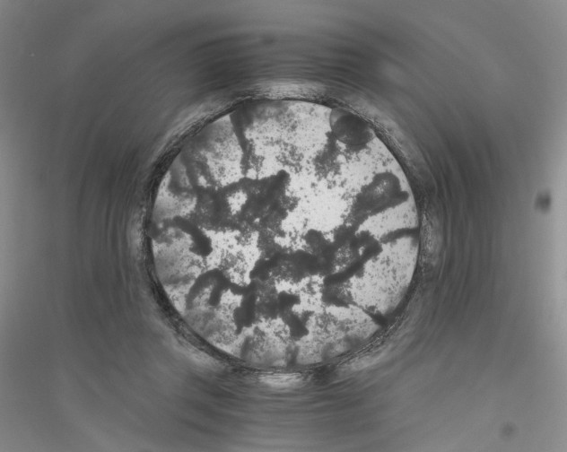 X0000116860357201002021111