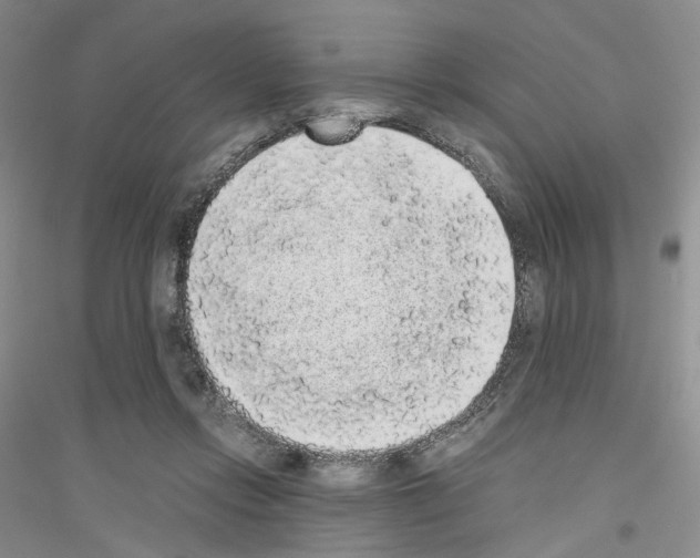 X0000116860358201002021111