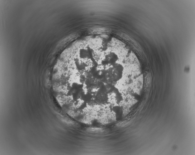 X0000116860361201002021111