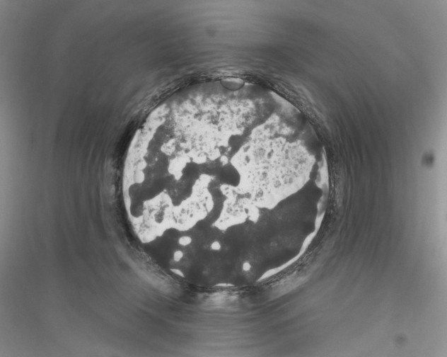 X0000116860366201002021111