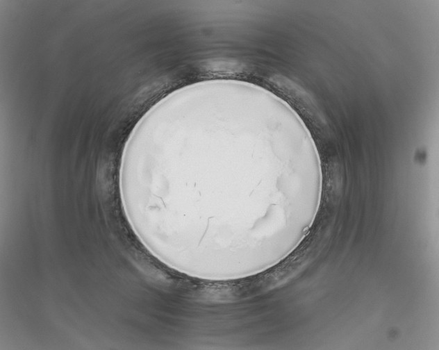 X0000116860369201002021111