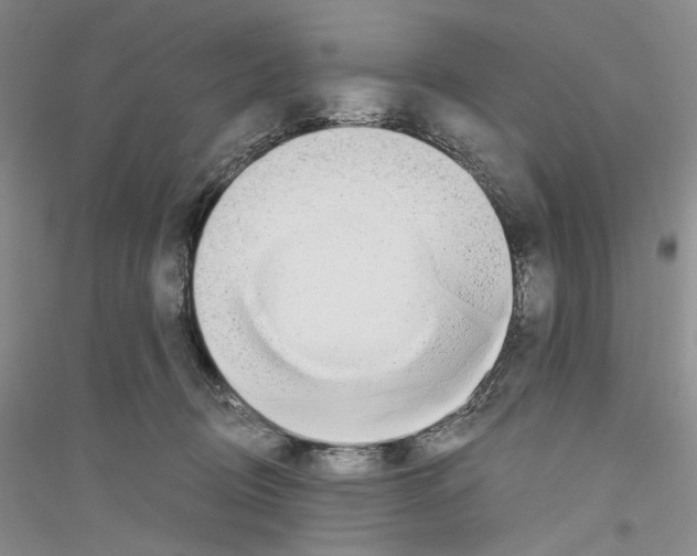 X0000116860370201002021111