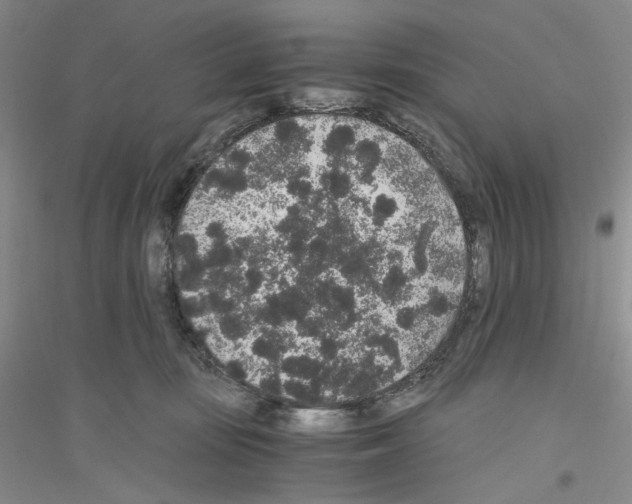 X0000116860371201002021111