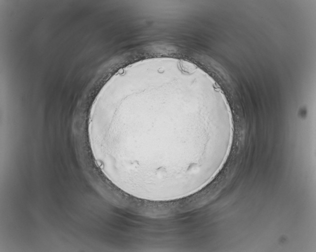 X0000116860373201002021111