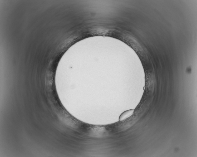 X0000116860374201002021111