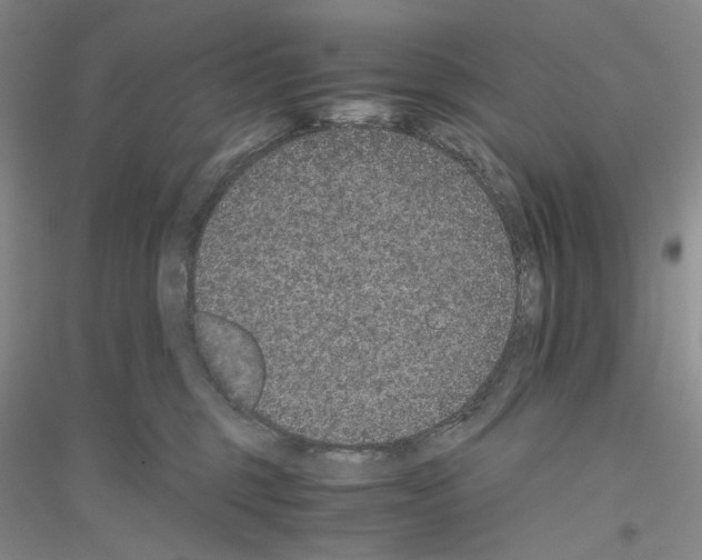 X0000116860375201002021111