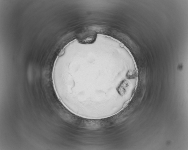 X0000116860377201002021111