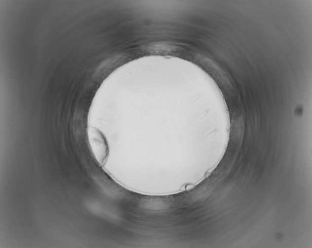 X0000116860381201002021111