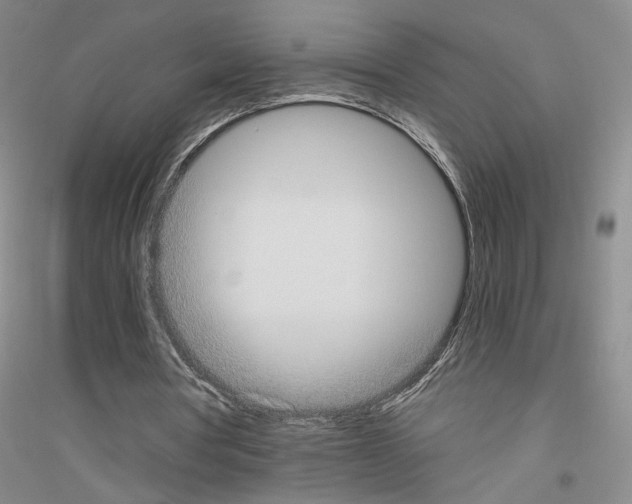 X0000116860386201002021111