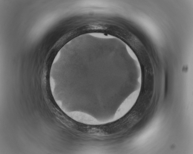 X0000116860387201002021111