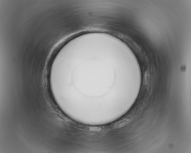 X0000116860388201002021111