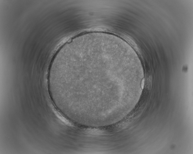 X0000116860389201002021111