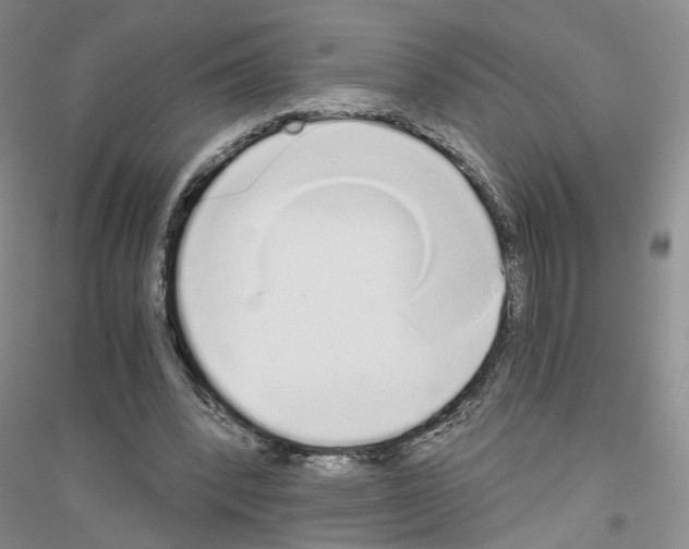 X0000116860392201002021111