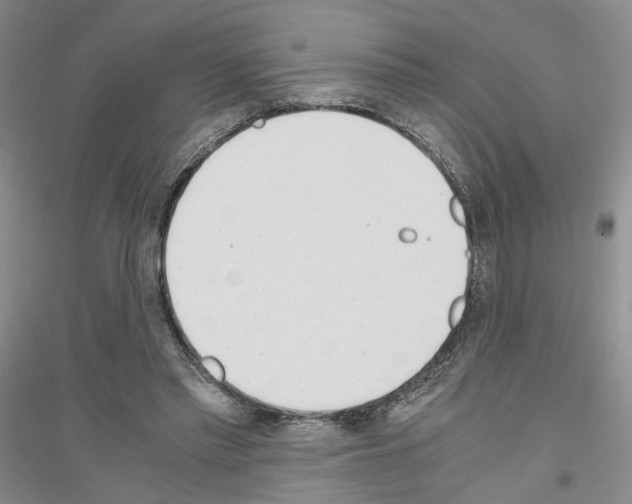 X0000116860397201002021110